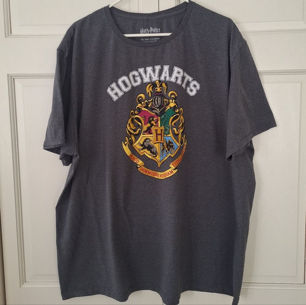 Harry Potter Hogwarts graphic t-shirt